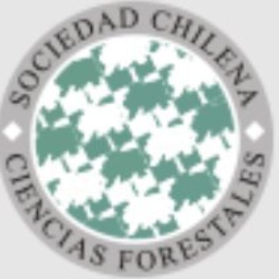 Elecciones de nueva directiva SOCIFOR 2025-2027